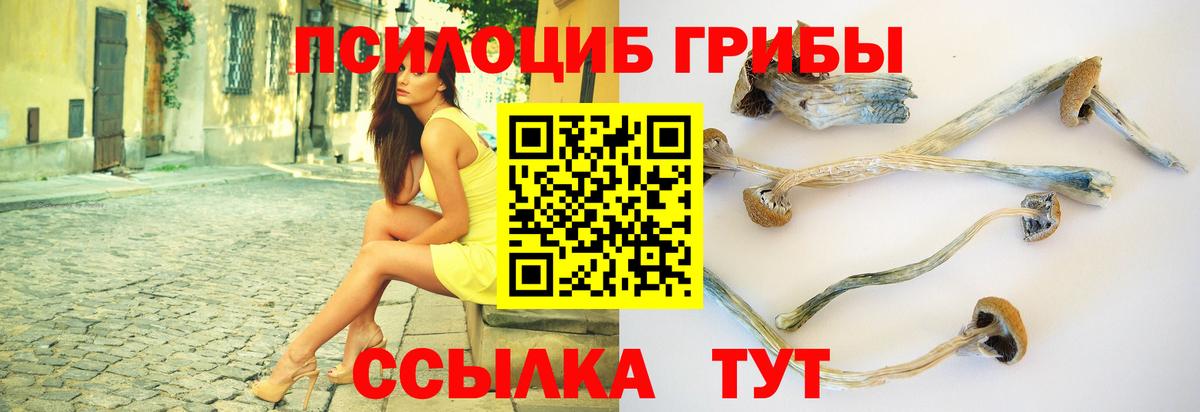 купить наркоту  Вход с VPN  Рассказово  Галлюциногенные грибы мицелий 